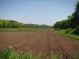 grp0611210842.jpg 160120 31K