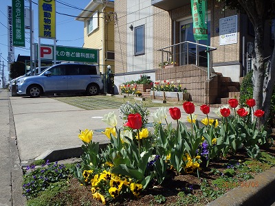 grp0421224622.jpg 400×300 71K