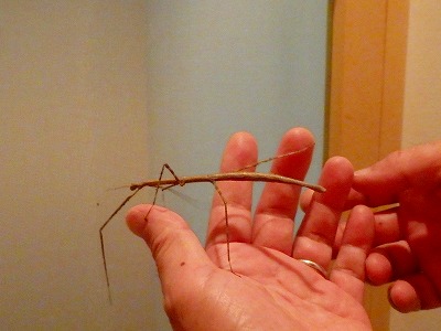 s-P8040421.jpg 400×300 30K